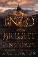 Cover image of Into the bright unknown