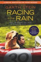 Cover image of Racing in the rain