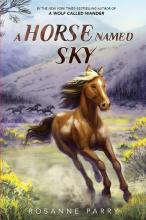 Cover image of A horse named Sky