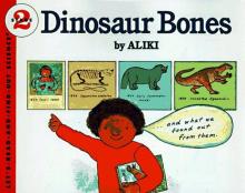 Cover image of Dinosaur bones