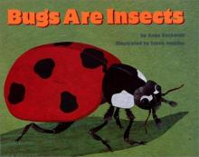 Cover image of Bugs are insects