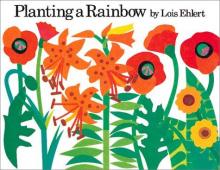 Cover image of Planting a rainbow