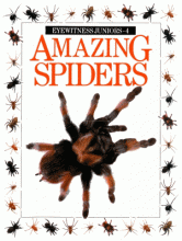 Cover image of Amazing spiders