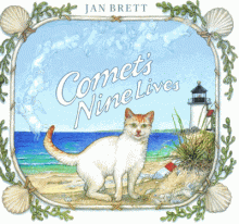 Cover image of Comet's nine lives