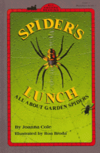 Cover image of Spider's lunch