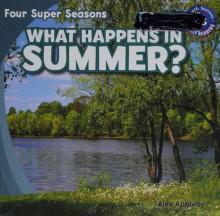 Cover image of What happens in summer?