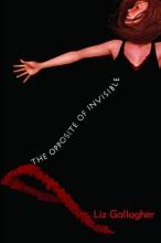 Cover image of The opposite of invisible
