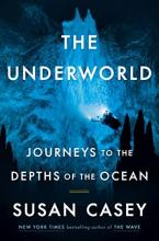 Cover image of The underworld