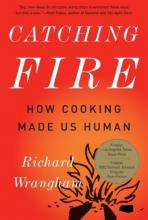 Cover image of Catching fire