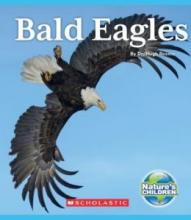 Cover image of Bald eagles