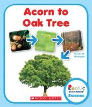 Cover image of Acorn to oak tree