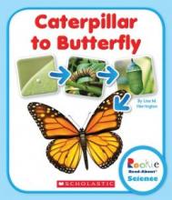 Cover image of Caterpillar to butterfly