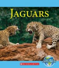 Cover image of Jaguars