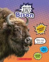 Cover image of Bison