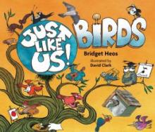 Cover image of Just like us! birds