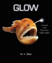 Cover image of Glow
