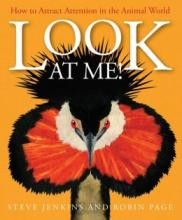 Cover image of Look at me!