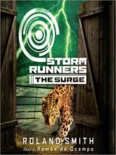 Cover image of The surge