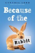 Cover image of Because of the rabbit