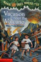 Cover image of Vacation under the volcano