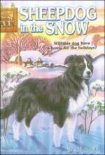 Cover image of Sheepdog in the snow