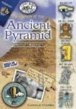 Cover image of The mystery of the ancient pyramid