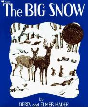 Cover image of The big snow