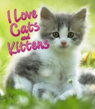 Cover image of I love cats and kittens