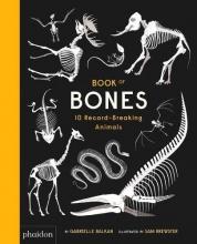 Cover image of Book of bones