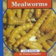 Cover image of Mealworms