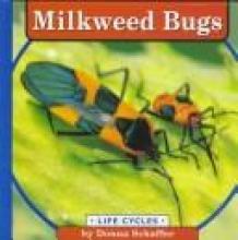 Cover image of Milkweed bugs