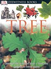 Cover image of Tree