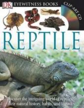 Cover image of Reptile