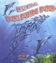 Cover image of Life in a dolphin pod