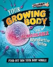 Cover image of Your growing body and remarkable reproductive system