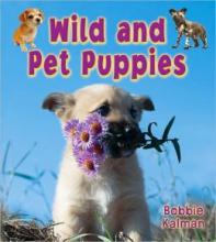 Cover image of Wild and pet puppies
