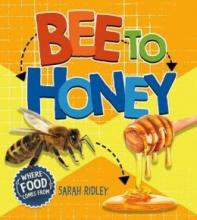 Cover image of Bee to honey