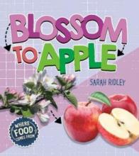 Cover image of Blossom to apple