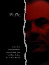 Cover image of Mafia