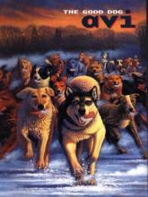 Cover image of The good dog