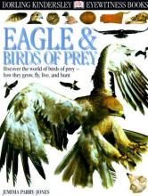 Cover image of Eagle & birds of prey