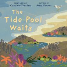 Cover image of The tide pool waits