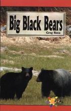 Cover image of Big Black Bears