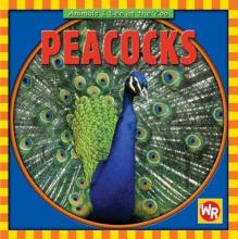 Cover image of Peacocks