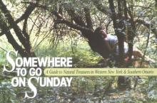 Cover image of Somewhere to go on Sunday