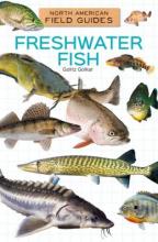 Cover image of Freshwater fish