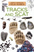 Cover image of Tracks and scat