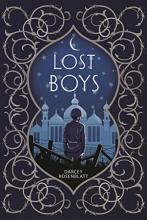 Cover image of Lost boys