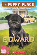 Cover image of Edward