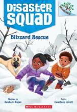 Cover image of Blizzard rescue